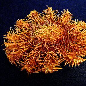 Toy figure star 6 - 8" thorny beach decor ocean theme wedding